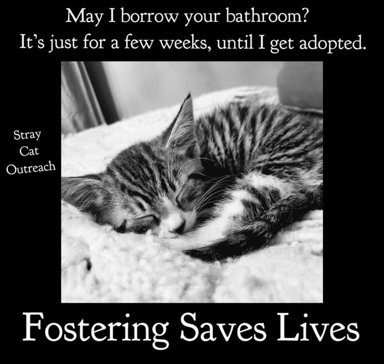 fostering saves lives poster